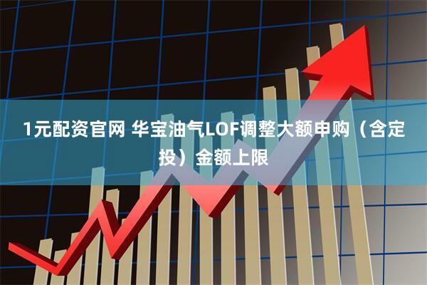 1元配资官网 华宝油气LOF调整大额申购（含定投）金额上限