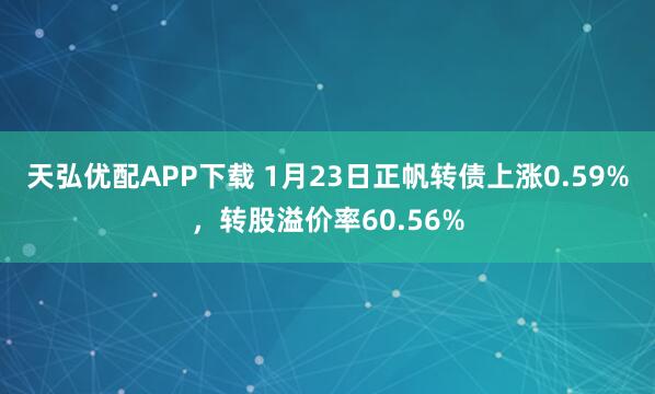 天弘优配APP下载 1月23日正帆转债上涨0.59%，转股溢价率60.56%