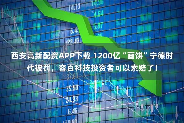 西安高新配资APP下载 1200亿“画饼”宁德时代被罚，容百科技投资者可以索赔了！